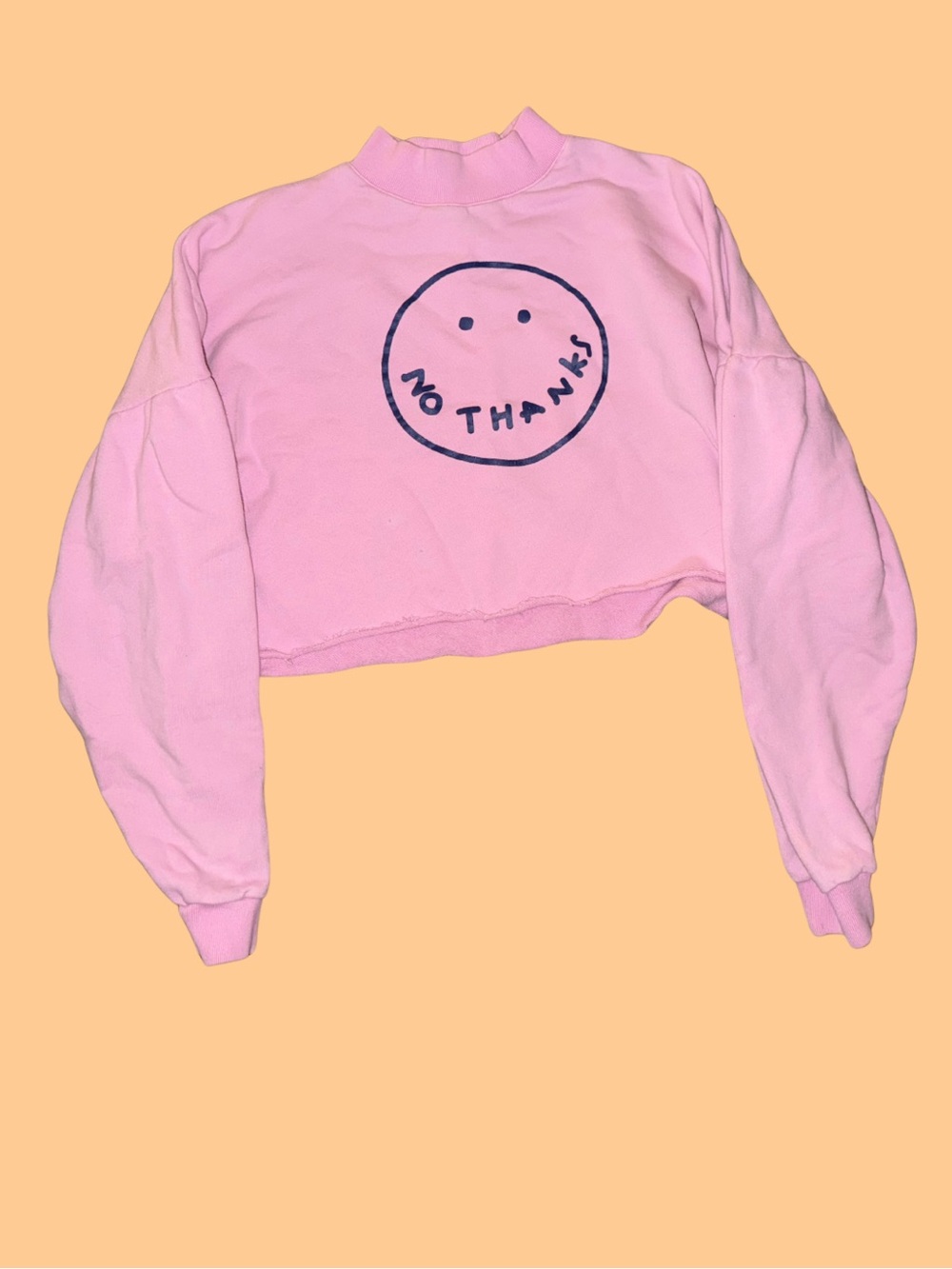 lazy oaf no thanks cropped sweater one size